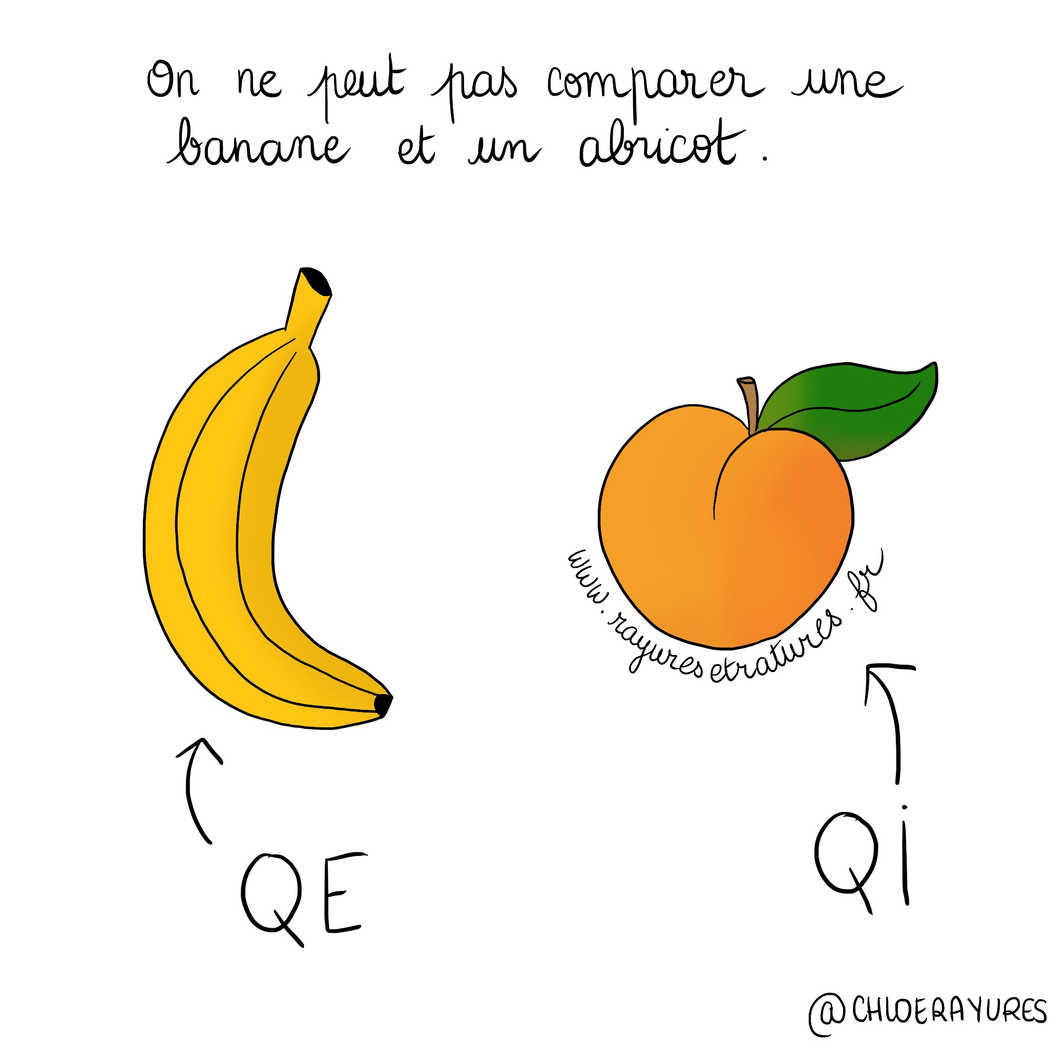 QI et QE