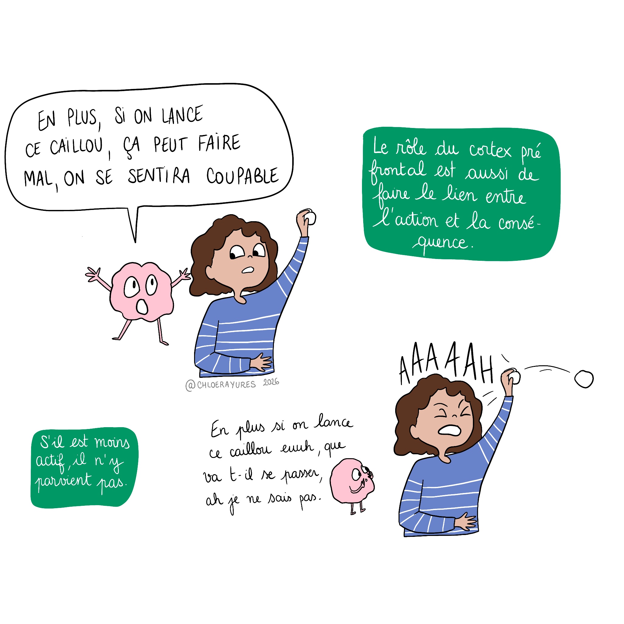 Le cortex préfrontal permet de réfléchir avant d'agir.