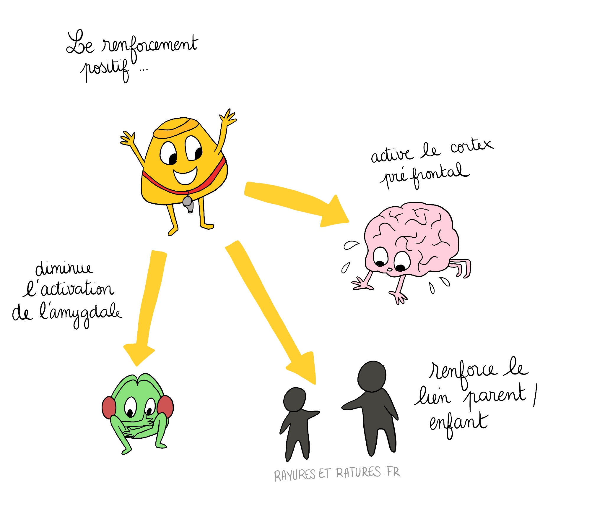 Effet du renforcement positif sur le cerveau des enfants